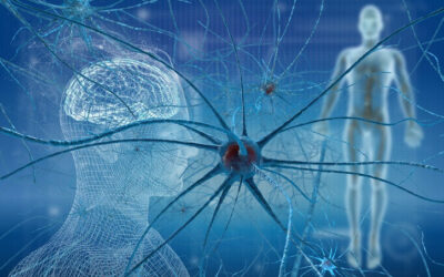 Publicado primeiro estudo que analisa as alterações cerebrais associadas à fibromialgia juvenil