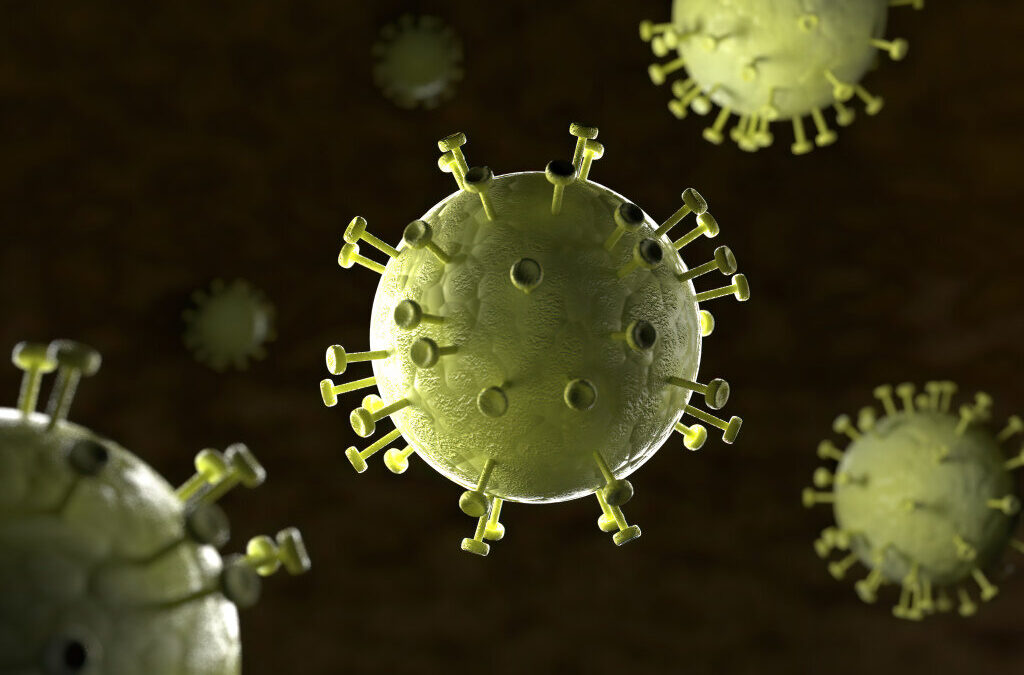 Vírus da hepatite equina ajudam a compreender a hepatite C