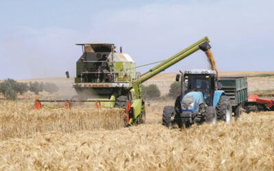 Guerra pode gerar crise alimentar global, alertam ucranianos na OMC