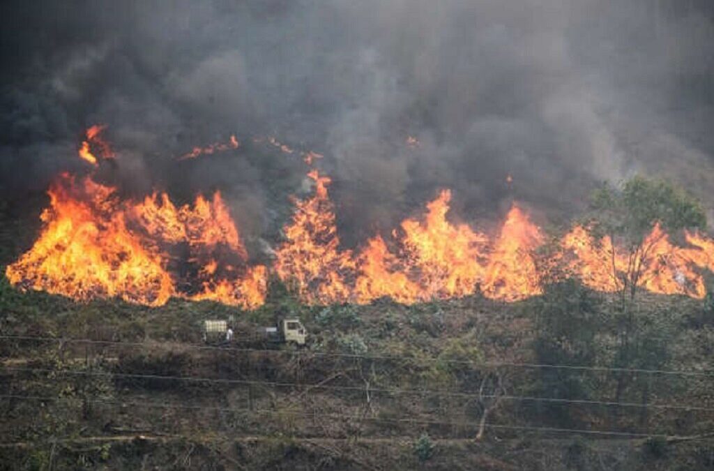 MAI pede cuidado porque 50% dos fogos são provocados por negligência