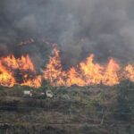 Governo disponibiliza 500 mil euros para agricultores afetados por incêndios