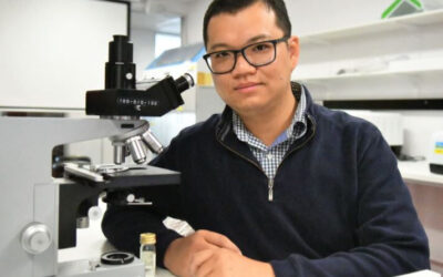 Implantes antimicrobianos para prevenir a infeção – e cirurgia de substituição