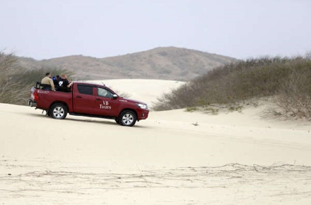 Ilha cabo-verdiana da Boa Vista pede proteção para o emblemático deserto de Viana