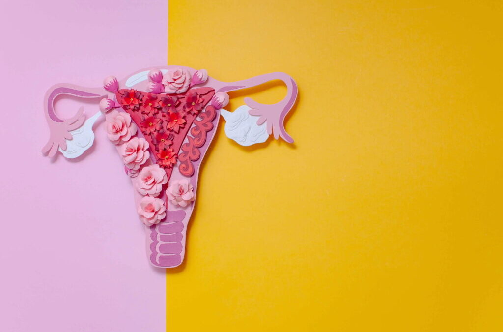 Lançada petição de Estratégia Nacional de Combate à Endometriose e Adenomiose