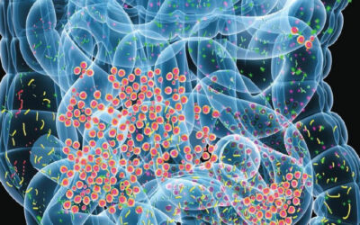 Um único curso de antibióticos afecta a microbiota intestinal dos bebés