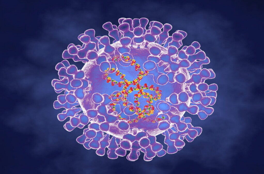 Confirmados 23 casos de infeção pelo vírus Monkeypox