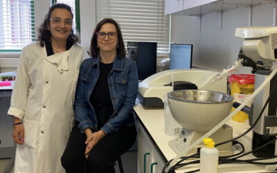 Investigadoras da Universidade do Minho vencem Prémio IACOBUS Papers
