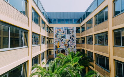 Universidade Fernando Pessoa lança primeiro MBA de Gestão de Organizações e Serviços de Saúde