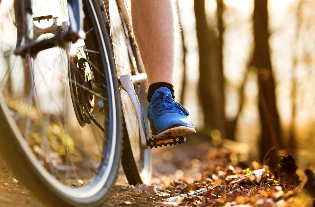 Grupo de ciclistas pedala 5.000 km para cativar pessoas com deficiência para vida ativa