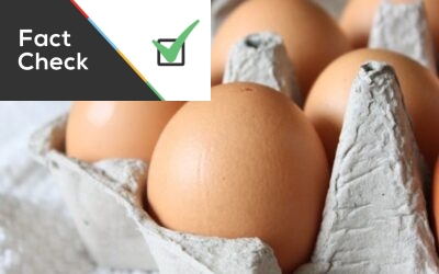Comer ovos aumenta o colesterol? Não, mas o consumo deve ser moderado