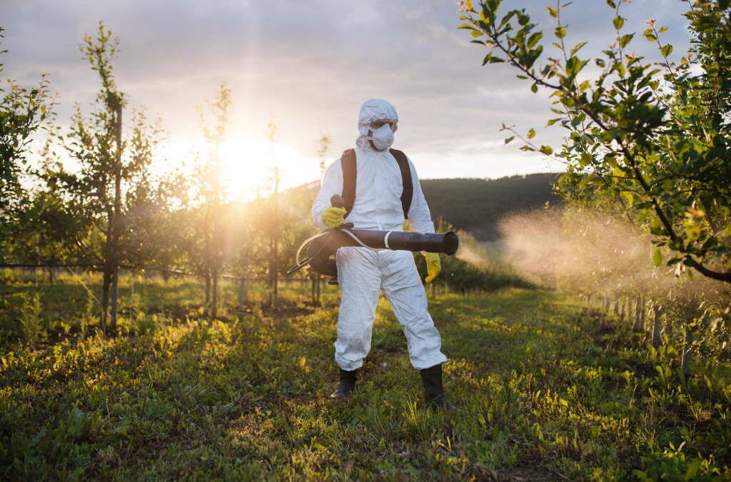 Pesticidas em nível abaixo de risco não constituem motivo de alarme