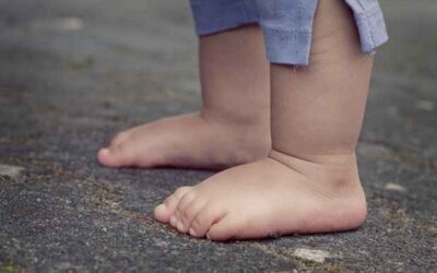 Autópsia de menina vítima de maus-tratos só deverá realizar-se amanhã