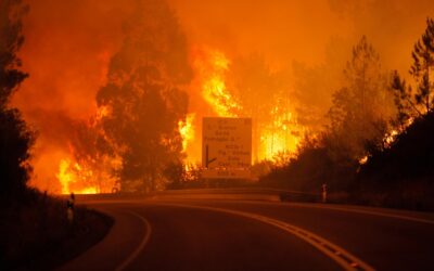 Pedrógão Grande: Vítimas dos fogos ainda necessitam de apoios de saúde mental