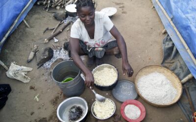 Crise alimentar avizinha-se e preços vão agravar situação