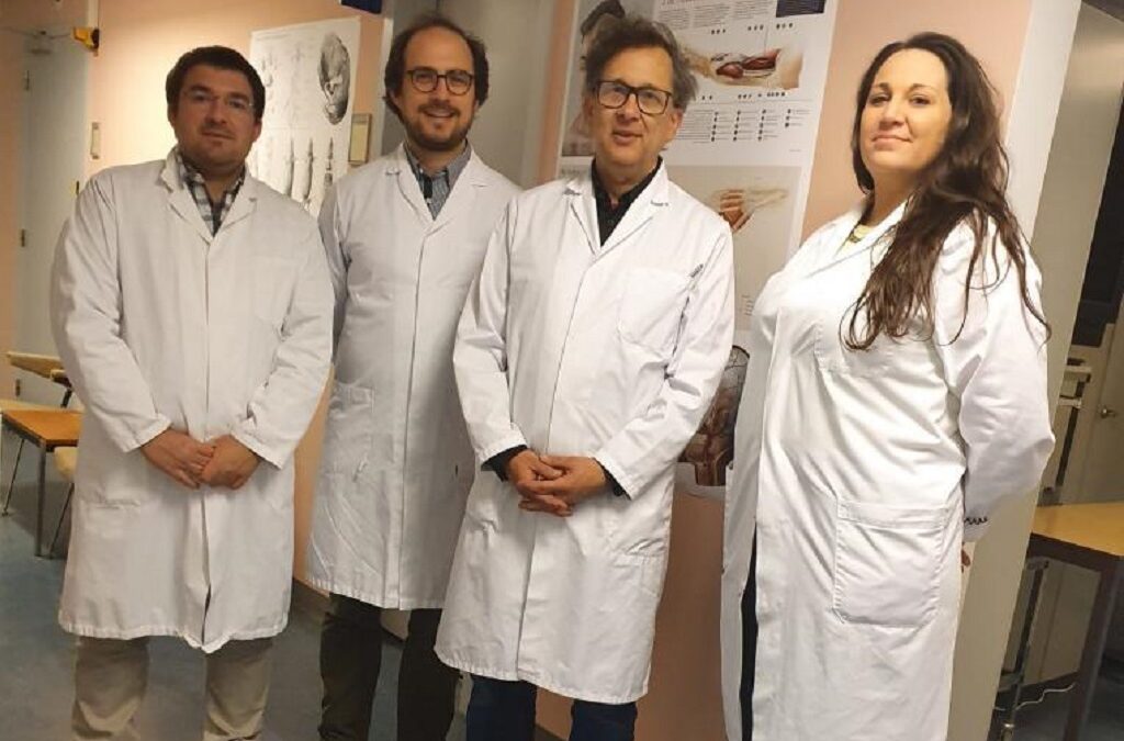 Docentes de Anatomia da Católica visitam Universidade de Maastricht