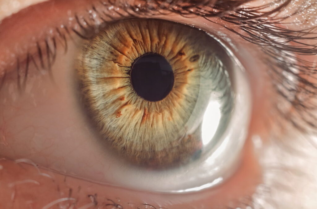 Método mais rápido para diagnosticar doença rara que pode cegar foi criado em Coimbra