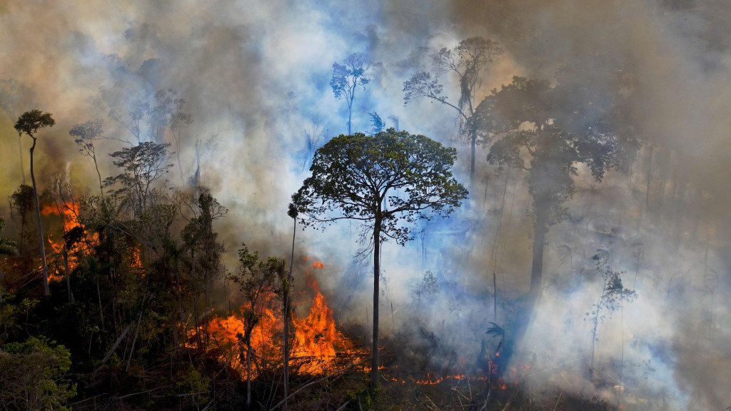 ONU alerta que Seca, alterações climáticas e desflorestação têm efeitos graves na América Latina