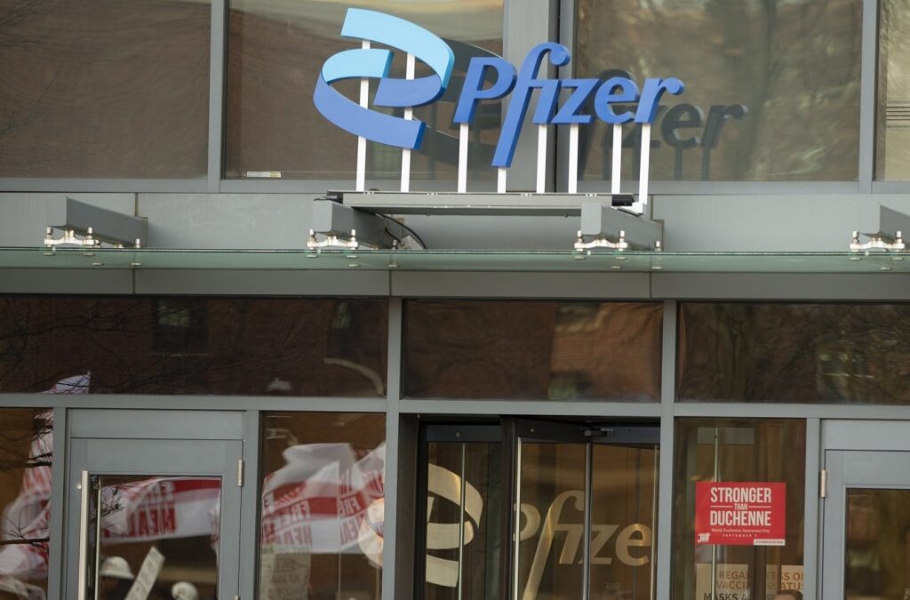 Anemia aplástica: Pfizer atribui bolsas de investigação no valor total de 500 mil dólares