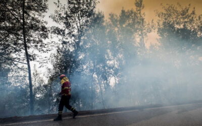 Mais de 60 concelhos de 10 distritos em perigo máximo de incêndio