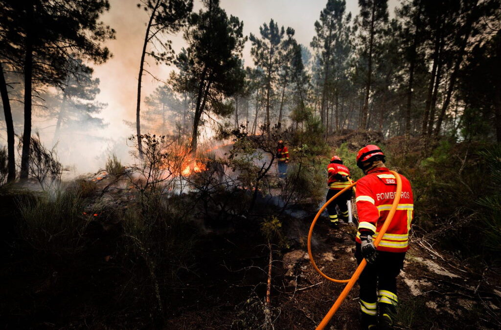 Cerca de 1.500 hectares de área ardida no fogo de Vila Pouca de Aguiar