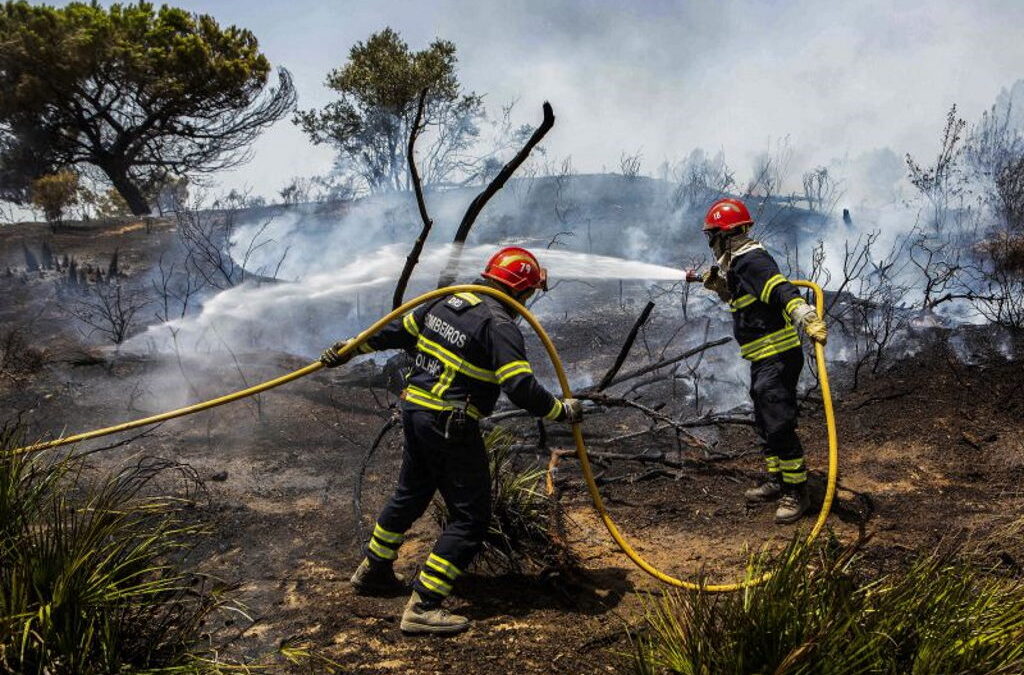 Governo autoriza criação de mais 325 bombeiros profissionais nas associações humanitárias