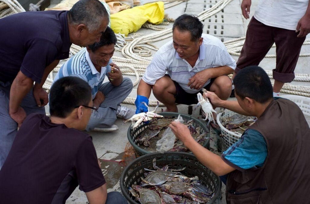 Cidades chinesas testam para o vírus peixes, caranguejos ou camarões