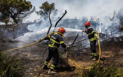 Perigo máximo de incêndio em 80 concelhos do interior Norte e Centro e Norte Alentejo