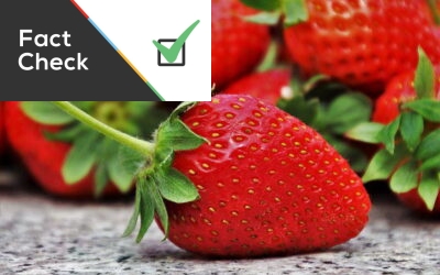 Encontrou bolor na comida? É mais prudente rejeitar todo o alimento, mas há exceções