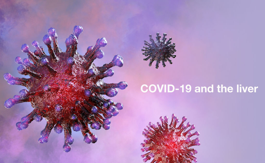 Especialistas debatem vulnerabilidade dos doentes renais à COVID-19