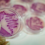 Resistência de bactérias entre as 10 principais ameaças à saúde global