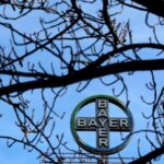 Bayer quer integrar o top 10 de empresas líderes em oncologia em 2023
