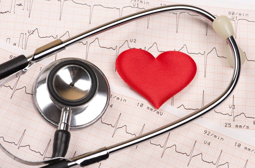 Estudo da FMUP “abre portas a novas terapêuticas” para a insuficiência cardíaca