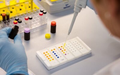 Cientistas identificam bactérias que protegem contra patógenos resistentes a antibióticos