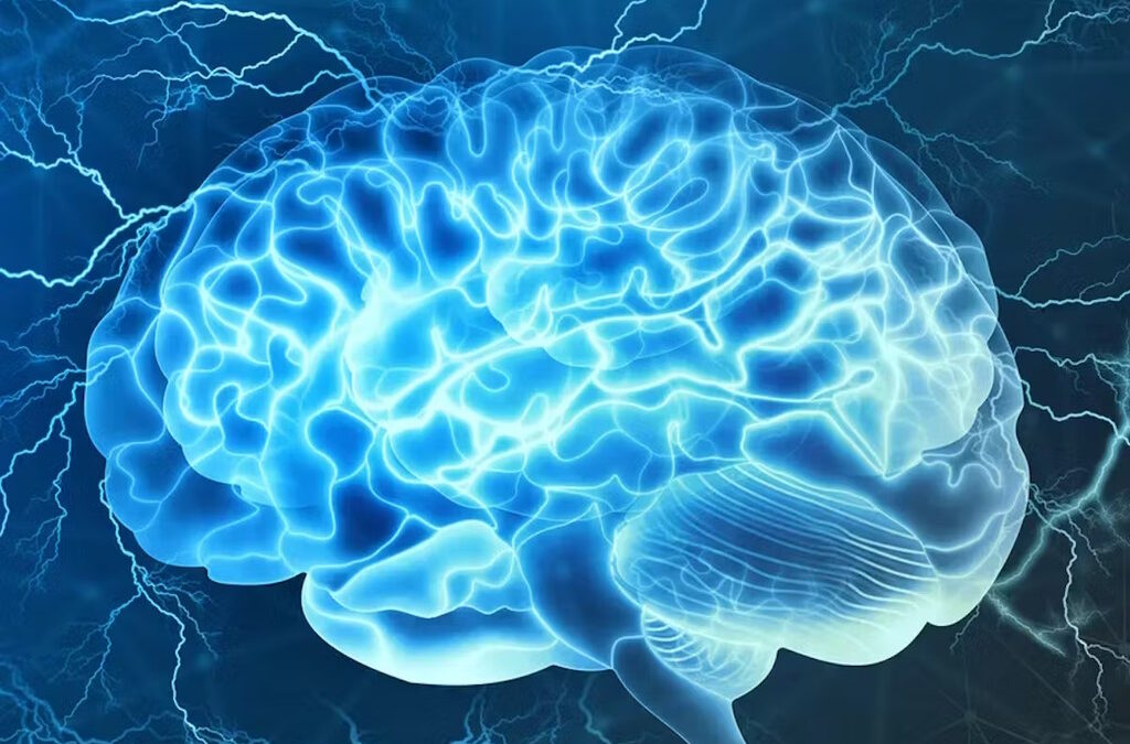 Idosos podem melhorar a memória episódica através da neuroestimulação do cerebelo