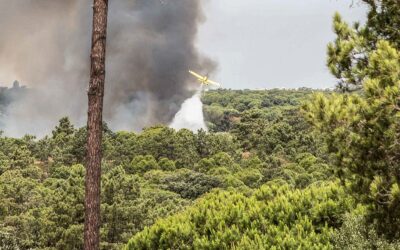 Perigo máximo de incêndio no Algarve e muito elevado no interior Norte e Centro