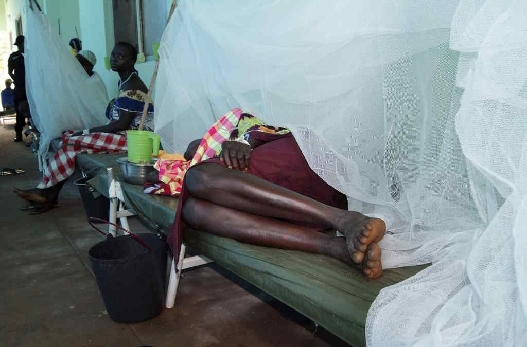 Mil milhões de pessoas em 43 países em risco de contrair cólera