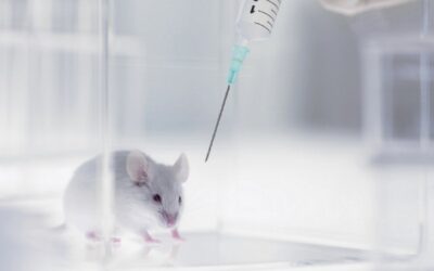 Distinguido projeto de gomas medicamentosas que evitam sofrimento dos animais de laboratório