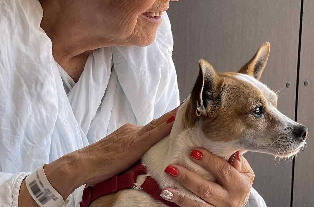 Animal de estimação visita doente internada no Hospital de Cascais