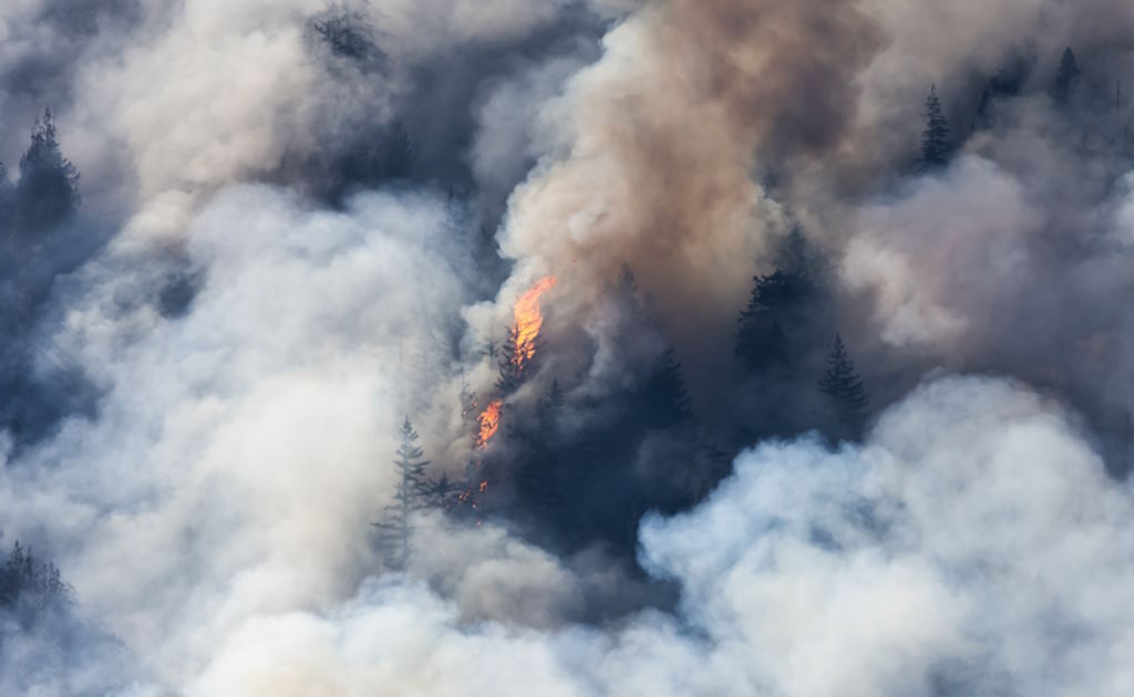 Incêndios: Vinte pessoas receberam apoio psicológico devido aos fogos na Madeira
