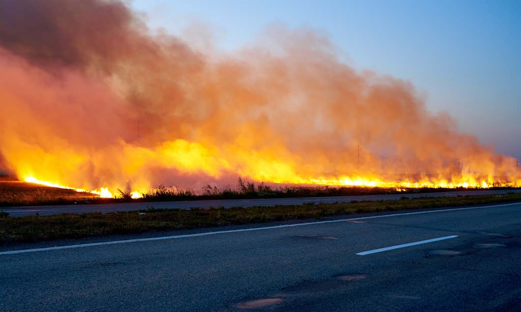 Cerca de 40 concelhos de seis distritos em perigo máximo de incêndio
