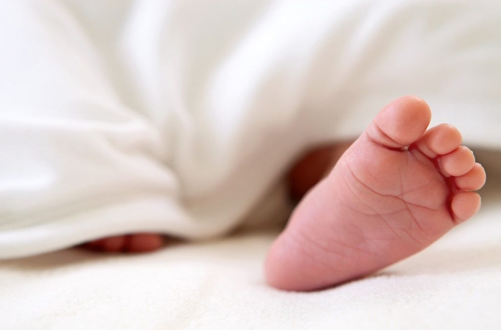 Um dos 11 bebés internados no Santa Maria com bactéria ficou infetado