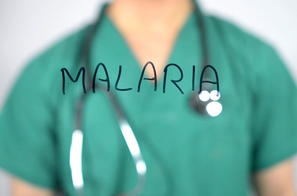 Investigação destaca o potencial de uma bactéria natural para ajudar na erradicação da malária