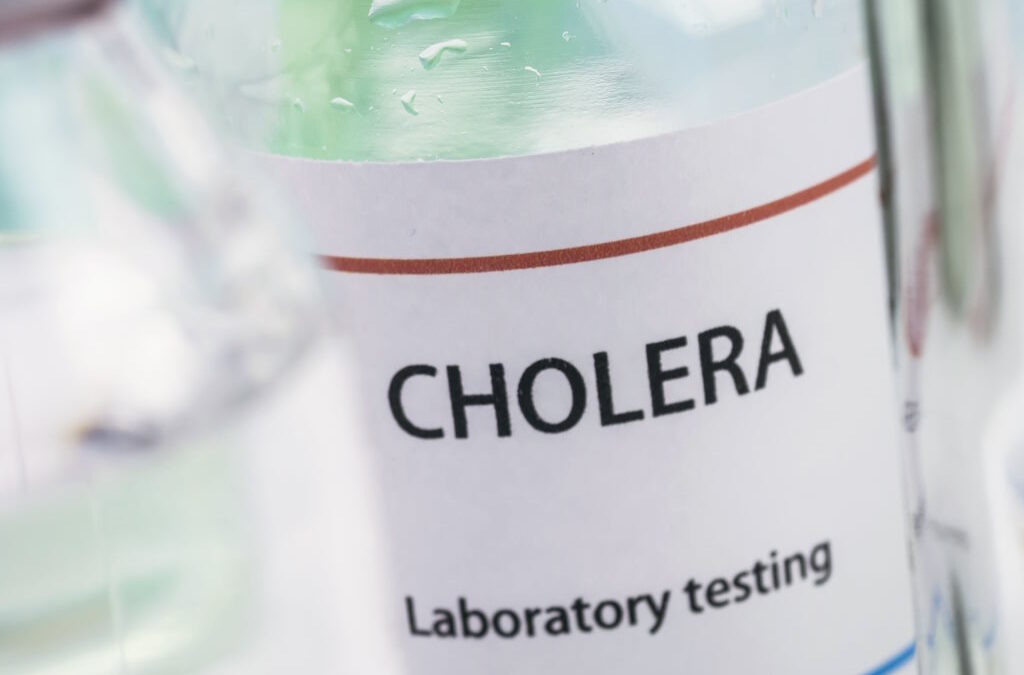 Sudão: Organizações internacionais alertam para surtos mortais de cólera e dengue