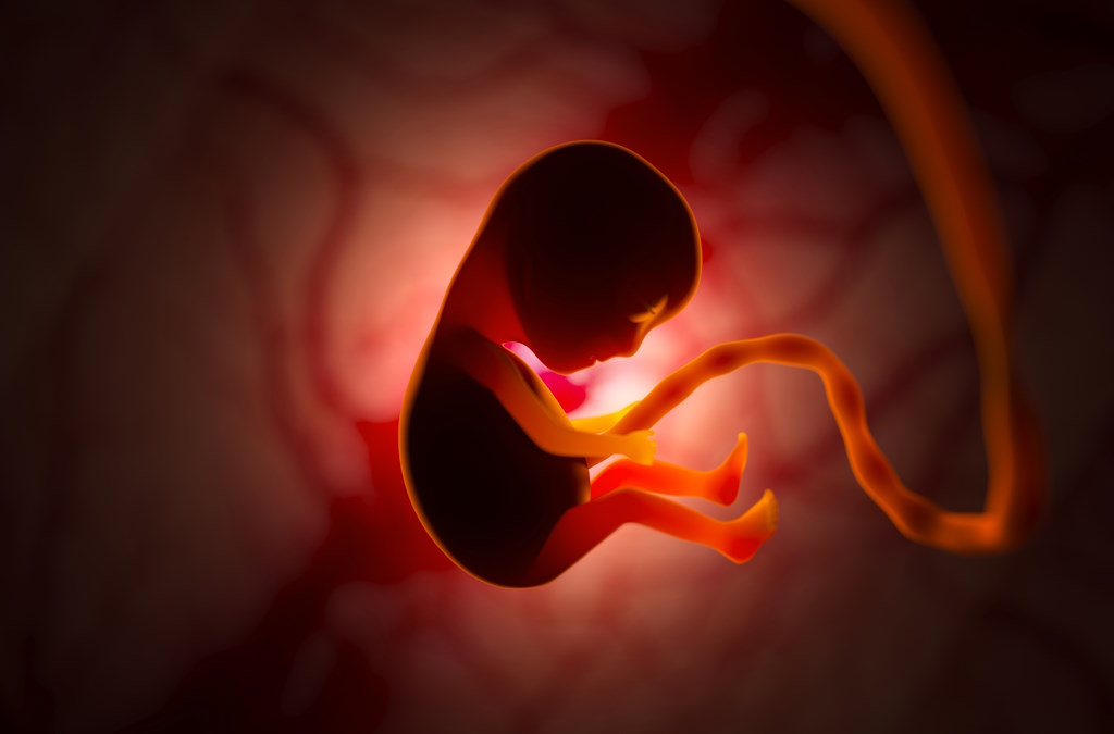 embrião_the-development-of-a-human-embryo-inside-the-womb-2022-02-05-02-31-08-utc_Por vladimirzotov_envato