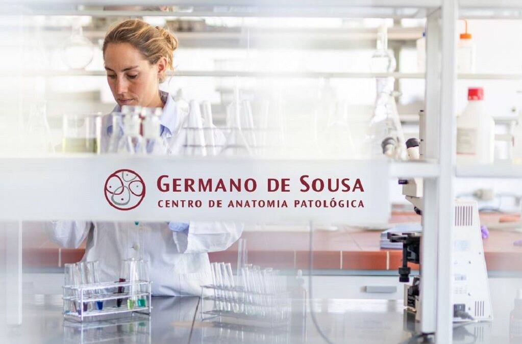 Cancro do pâncreas: Germano de Sousa promove workshop sobre avanços no diagnóstico e tratamento