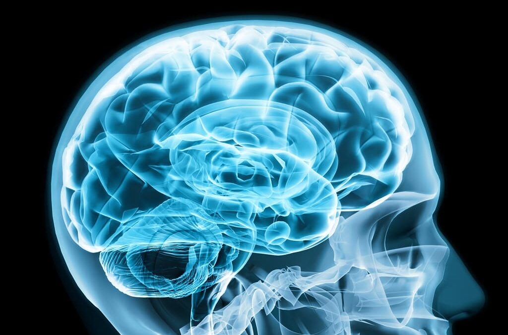 Fundação Champalimaud: “Neurónios zombies” ajudam a perceber como o cérebro aprende