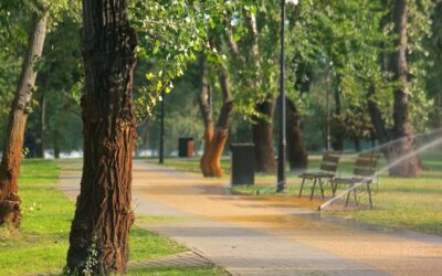“Healthy Cities Challenge”: Novo Nordisk atribui bolsa para criar cidades mais saudáveis