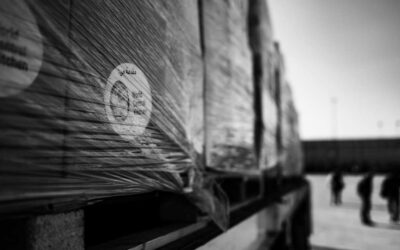 Dezenas de camiões de ajuda humanitária entram em Gaza vindos do Egito