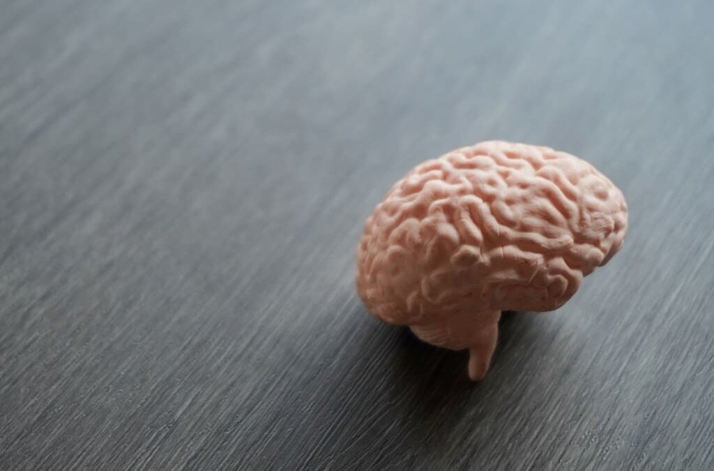 Neuralink diz ter corrigido problema no seu primeiro implante cerebral