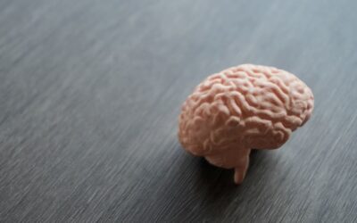 Neuralink diz ter corrigido problema no seu primeiro implante cerebral
